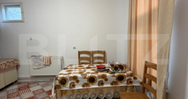Apartament de &icirc;nchiriat, 50 mp, zona Gara Mare