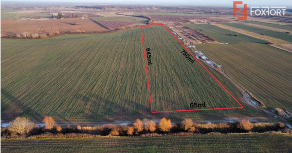 Teren extravilan arabil 50.890mp - aproape de centura Timiso