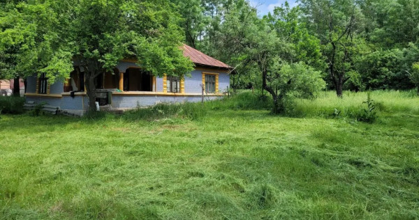Teren intravilan 3.000 mp cu casă bătr&acirc;nească &ndash; Cătunu, Teleorman
