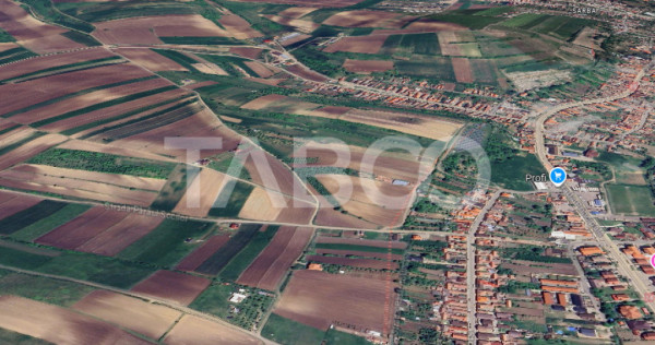 Teren intravilan de vanzare 1250 mp Sura Mare