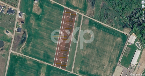 Terenuri de vanzare in Ciolpani, langa Padurea Snagov 24 eur