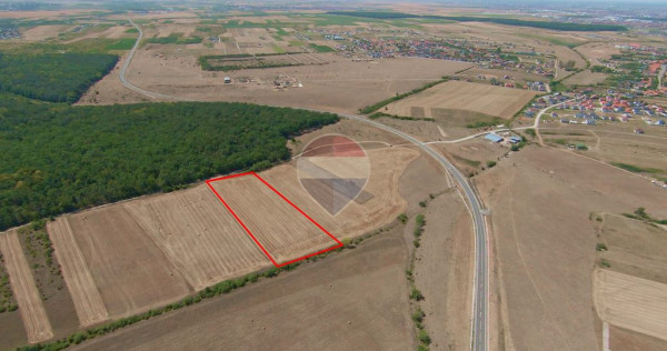 Teren intravilan 10.455 mp, &icirc;n Cihei&ndash; S&acirc;nmartin, deschidere la pădure
