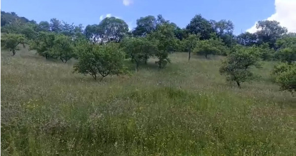 Teren de vanzare in zona de munte 13000mp