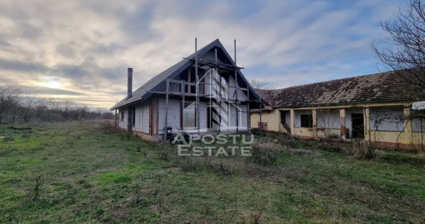 Casa individuala de vanzare la rosu cu teren generos, Seceani