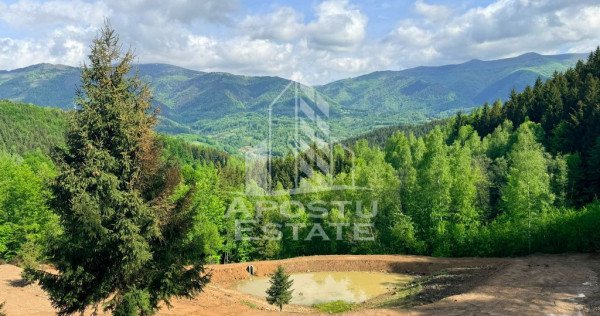 Oportunitate! Domeniu montan, cu lac propriu, oras Lupeni, Hunedoara