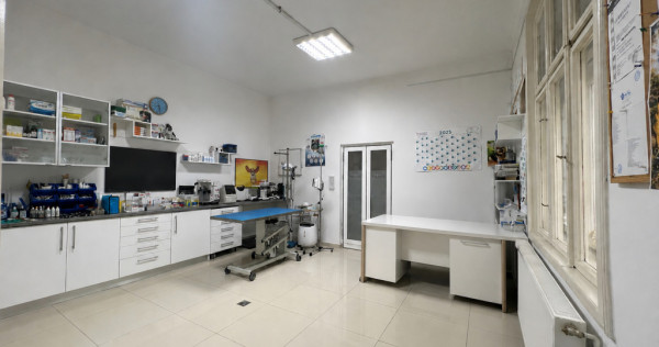Casa individuala cu 2 camere mari - zona Bogdanestilor, Timi