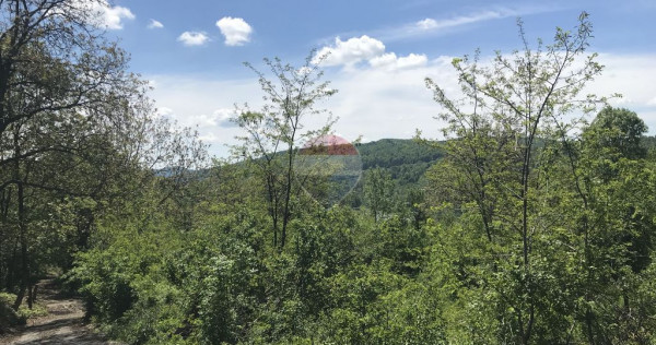 Vanzare Teren INTRAVILAN Padure 2,511mp BREBU MANASTIREI PRAHOVA
