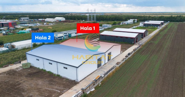 Hale de 550 mp &icirc;n Frumușani, Călărași &ndash; v&acirc;nzare sau &icirc;nchiriere