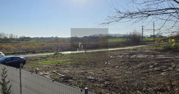 Teren intravilan casa 500mp -curent si gaze trase - Frumusani /Pasarea