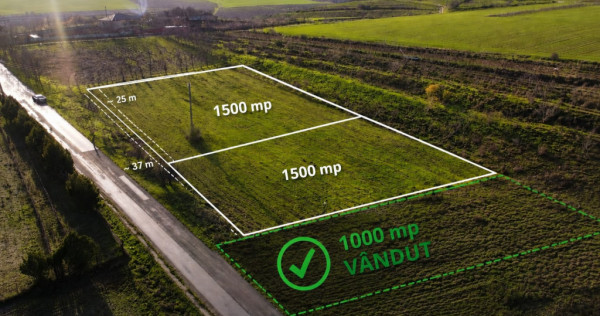 TEREN INTRAVILAN SOMOVA- 3000 MP