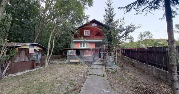 Casă 7 camere, curte 826 mp și p&acirc;r&acirc;u&ndash;Breaza, Campina, Provița, Prahova